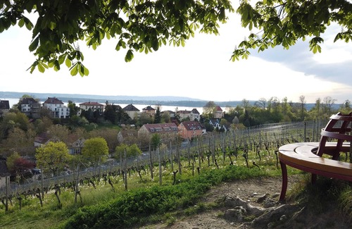 Meersburg Apartment | Ferienwohnung B - Ferienwohnung Auf dem Hirtle