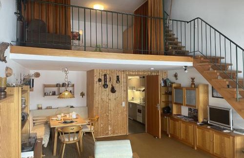Steibis Apartment | Ferienwohnung Berganemone