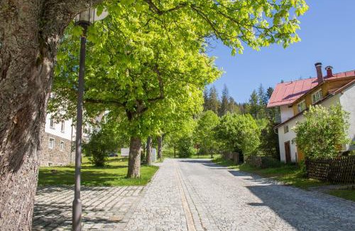 Bayerisch Eisenstein Apartment | Ferienwohnung Treml
