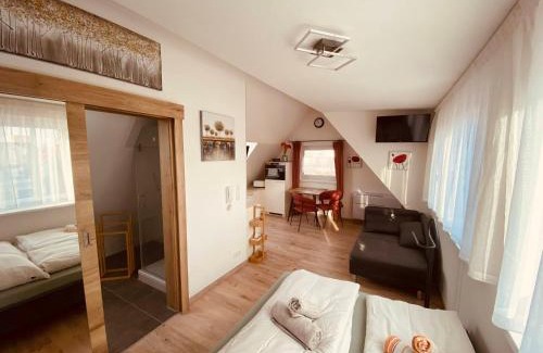 Frickenfelden Apartment | Ferienwohnung Elisabeth 3