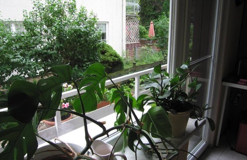 Landkreis Goslar Apartment | Ferienwohnung Haus Vogelsang