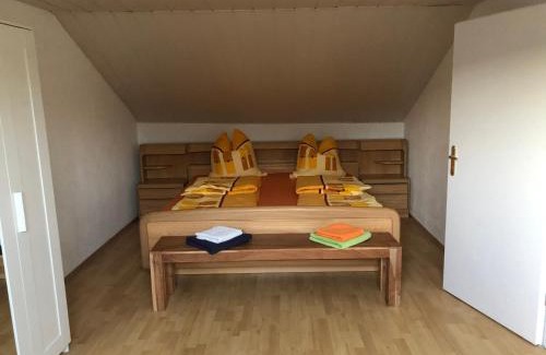 Rohrbach Apartment | Ferienwohnung Heidelberg ZE-2020-7-WZ