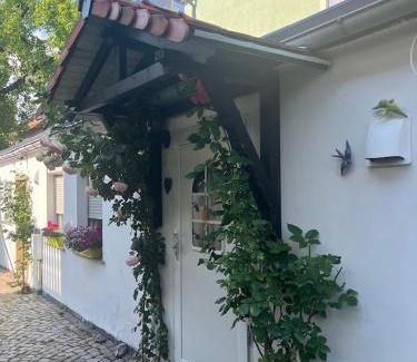 Weinboehla Apartment | Ferienwohnung Heyne