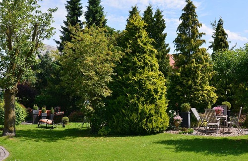 Madfeld Apartment | Ferienwohnung in Madfeld nahe Wald