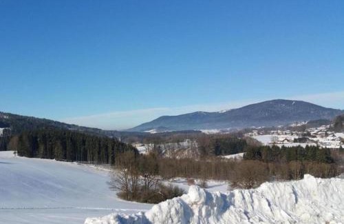 Drachselsried Apartment | Ferienwohnung im Bayerischen Wald mit Balkon