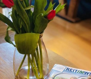Groissenbach Apartment | Ferienwohnung Lofereck Reit im Winkl