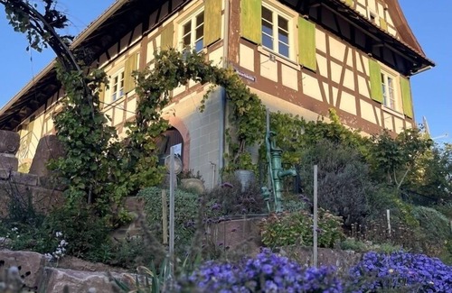Offenburg Apartment | Ferienwohnung mit 42 qm, 1 Schlafzimmer, 1 Wohn-/essbereich, Max. für 2 Personen