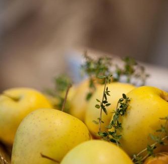 Damuels Apartment | Ferienwohnung Oberdamüls