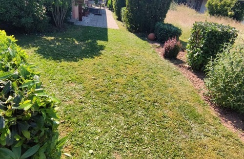 Hupperath Apartment | Ferienwohnung Pusteblume - Fewo Pusteblume