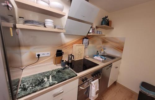 Bobenheim am Berg Apartment | Ferienwohnung Riesling