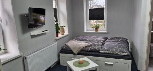 Grossschirma Apartment | Ferienwohnung Schwalbennest2