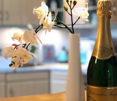 Haiger Apartment | Ferienwohnung Tulpenweg mit Kaminofen