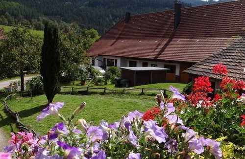 Oberwolfach Apartment | Ferienwohnung Wiesenblick, 55 qm, 1 Schlafzimmer, max. 4 Personen