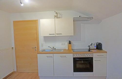 Navis Apartment | Ferienwohnung Wipptalblick