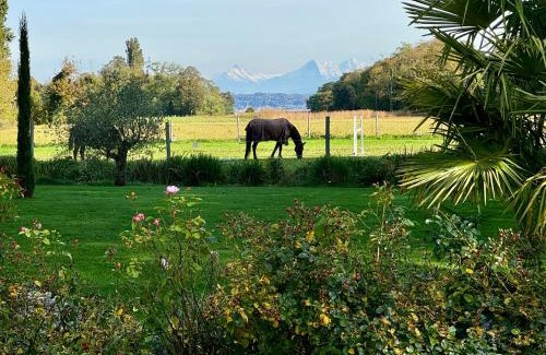 Auvernier Apartment | Ferme de Grandchamp