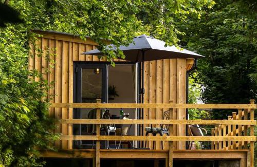 Tavistock House | Fern Lodge