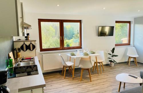 Klingenthal Apartment | FeWo - Bergblick