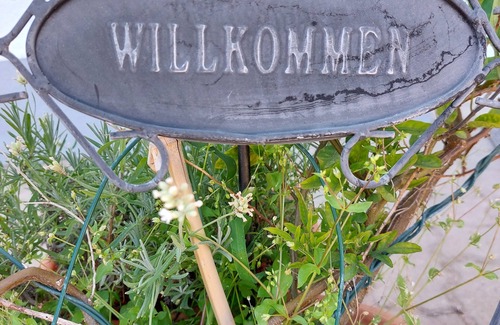 Freckenfeld Apartment | Fewo Landpartie: Oasis of peace in the sunny southern Palatinate - bright and comfortable