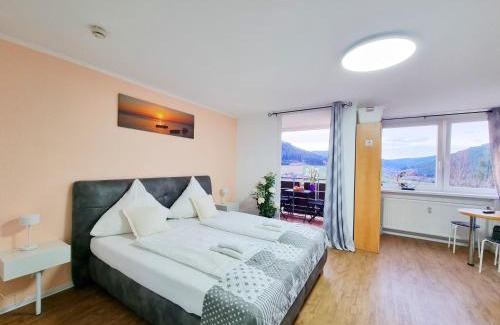 Baiersbronn Apartment | FeWo mit Pool in Baiersbronn
