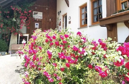 Haslachsimonswald Apartment | Fewo Typ A, "unsere Sonnige", 1 Wohn-/Schlafraum, max. 2 Personen