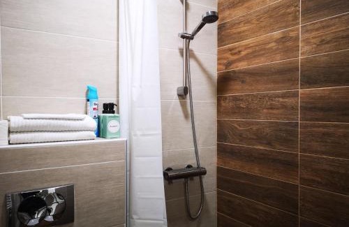 Novi Sad Apartment | FilinHome Papa Studio 1