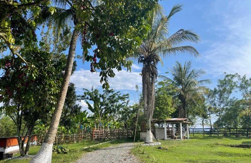 La Tebaida House | FINCA CORCEGA