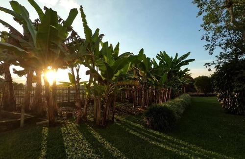 Armenia Apartment | Finca Hotel Estrella del Eden #6