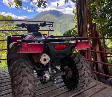 Armenia House | Finca la frondosa - La frondosa farm