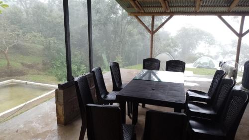 Coffee Triangle Other | Finca La Palma