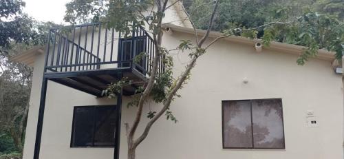 Coffee Triangle Other | Finca La Palma