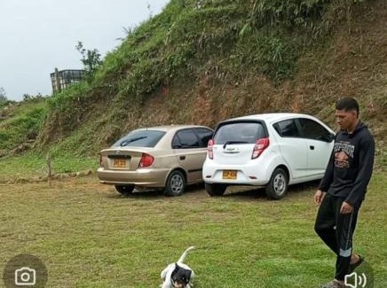 Coffee Triangle Other | Finca La Palma