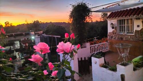 Gibraleon Apartment | FINCA RIODIEL