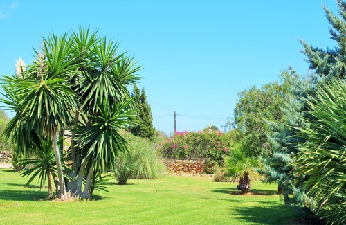 Manacor House | Finca son Golondrina - a property with charm & style!