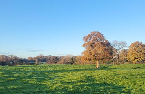 Whitchurch House | Fir Tree Farm by Wigwam Holidays