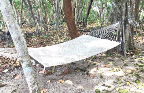 Green Island Cabin | Firefly Cabin Seaside at Half Moon Beach Jamaica