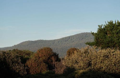 Seymour House | First Light Tasmania Cabin
