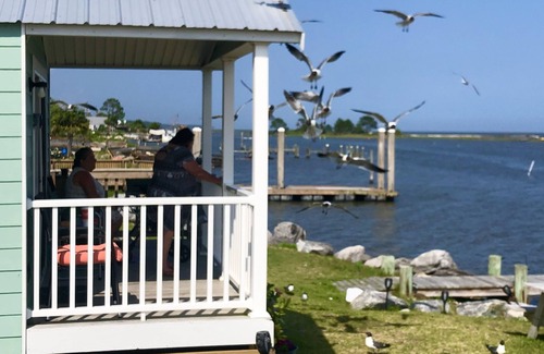 Eastpoint Cottage | (Fishing from dock) Boat launch, seafood market & bait-tackle shop next door.