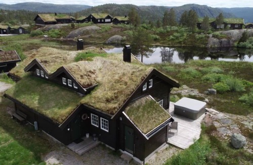 Tjaldal House | Fjellheimen by Interhome
