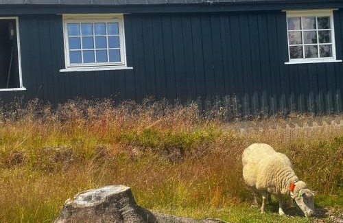 Loten Municipality House | Fjellkos og ro på Budor 4 roms hytte med peis og wifi