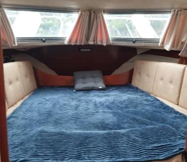 Vikedal Boat Rental | Flamingo