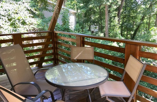 Kenilworth House | Floating in a forest with mountain views - minutes to downtown, Biltmore & shops