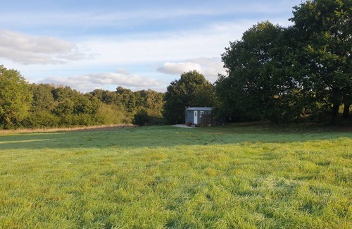 Marsham Cabin | Florence, nestled in a peaceful farm in Marsham, North Norfolk