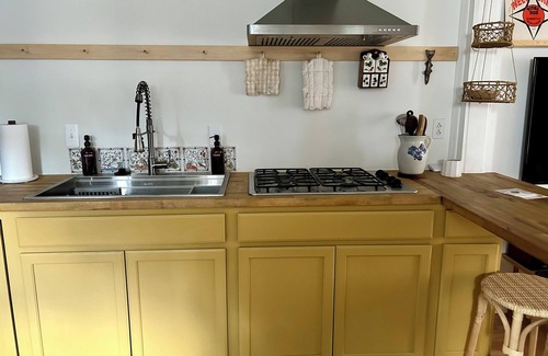 Downtown Rochester House | Flower City Abode/Park Ave 2 bd/2 bath House