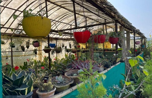 Turuk House | Flower Patch Homestay
