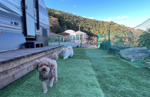 Futo Cabin | For 3 people Dogs welcome Dome tent 6mE traile/Ito Shizuoka