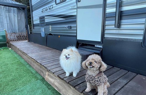 Futo Cabin | For 4 people Dogs welcome Dome tent 6mE traile/Ito Shizuoka