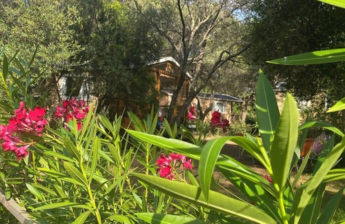 Galeria Ski Chalet | For rent Charming Chalet in Corsica 🌟 Your Escape to the Heart of Nature!