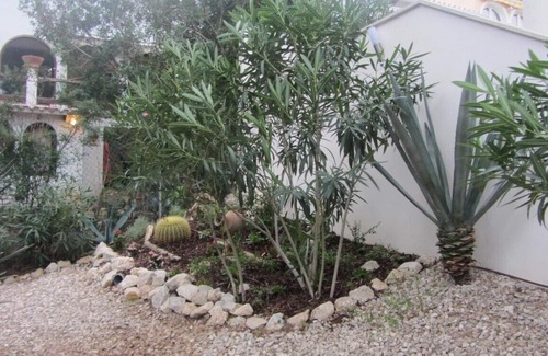 Ses Rotes Velles House | For the big family or vacation with friends