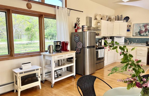 Ulster Park House | for the creative spirit, swimming dock on pond, horses to pet, Fire pit