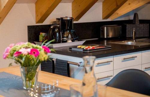 Bensheim Apartment | For the discerning: designer loft & roof balcony for 1-4 people. Near bathing lake